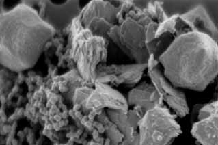 methanogen growth on MoS2