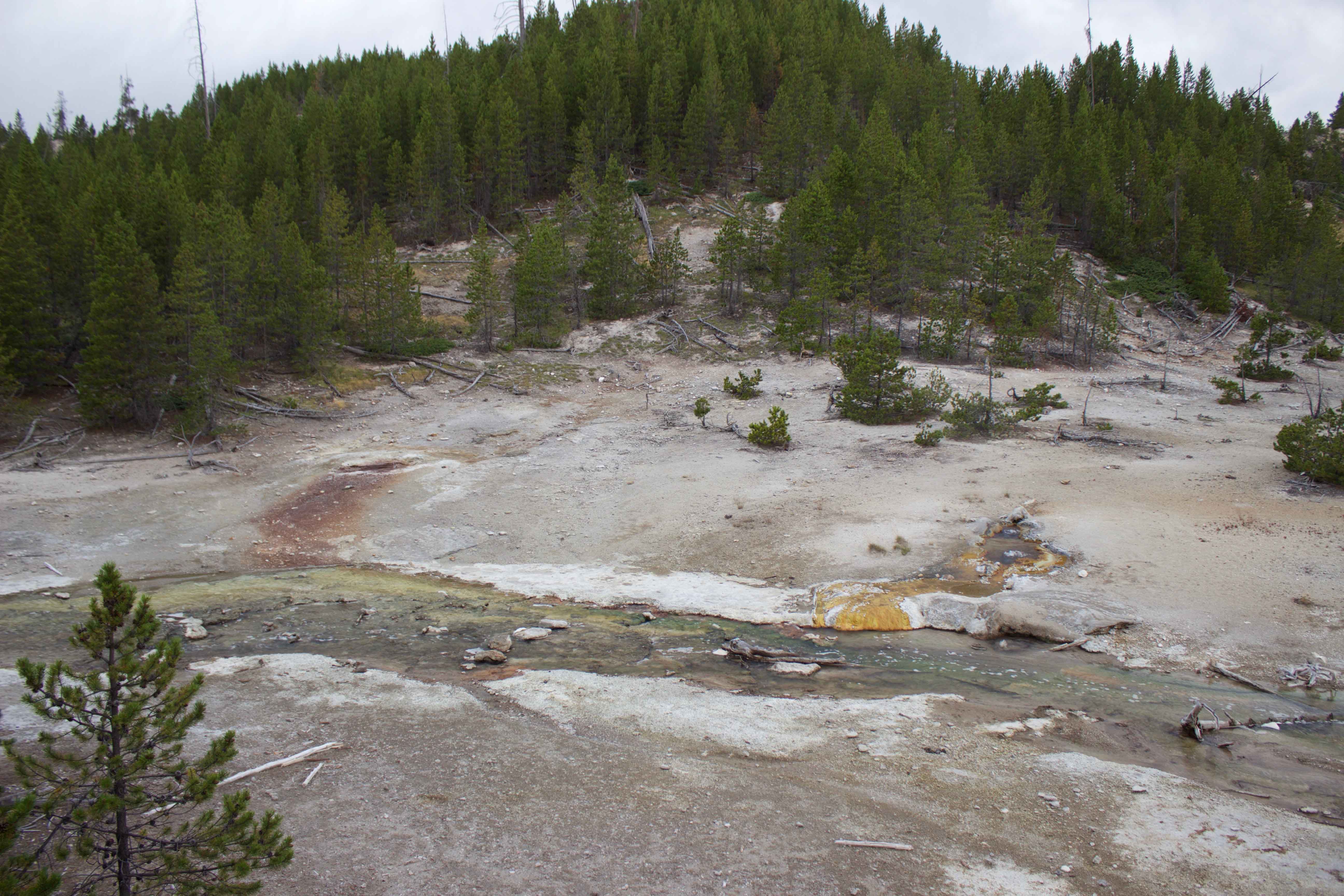 Two Pools